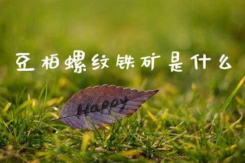 豆柏螺纹铁矿是什么_https://cj002.lansai.wang_期货问答_第1张