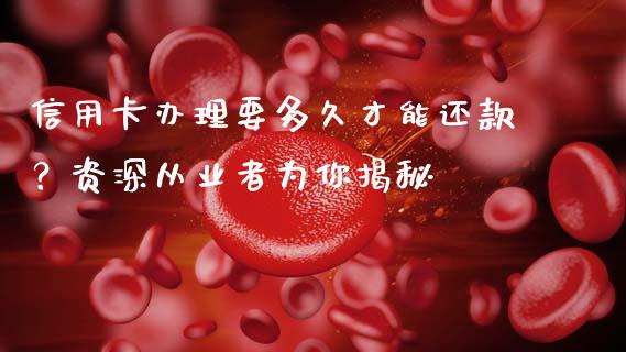 信用卡办理要多久才能还款？资深从业者为你揭秘_https://cj002.lansai.wang_会计问答_第1张
