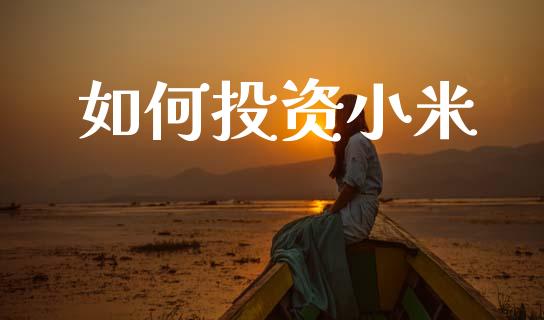 如何投资小米_https://cj002.lansai.wang_财经百问_第1张