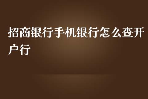 招商银行手机银行怎么查开户行_https://cj002.lansai.wang_金融问答_第1张