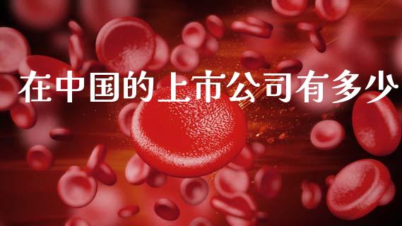 在中国的上市公司有多少_https://cj002.lansai.wang_股市问答_第1张