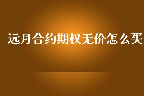 远月合约期权无价怎么买_https://cj002.lansai.wang_期货问答_第1张