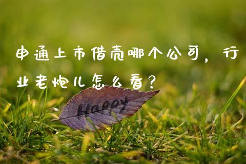 申通上市借壳哪个公司，行业老炮儿怎么看？_https://cj002.lansai.wang_理财问答_第1张