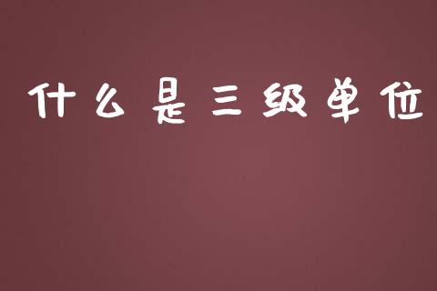 什么是三级单位_https://cj002.lansai.wang_保险问答_第1张