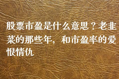 股票市盈是什么意思？老韭菜的那些年，和市盈率的爱恨情仇_https://cj002.lansai.wang_理财问答_第1张