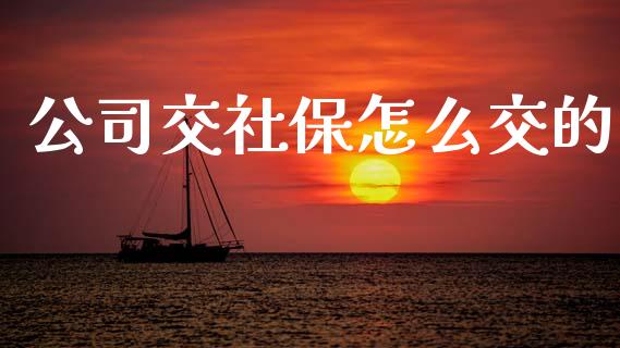 公司交社保怎么交的_https://cj002.lansai.wang_保险问答_第1张