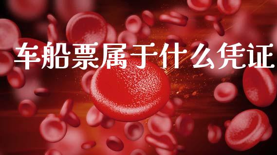 车船票属于什么凭证_https://cj002.lansai.wang_会计问答_第1张