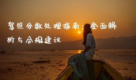 驾照分数处理指南：全面解析与合规建议_https://cj002.lansai.wang_财经问答_第1张