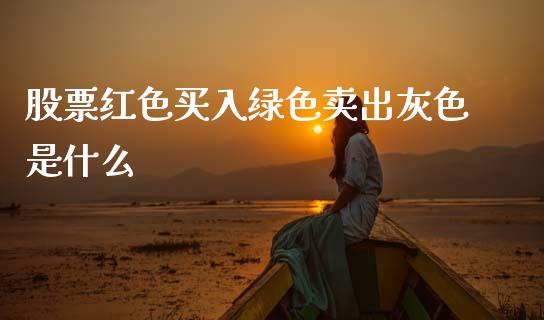 股票红色买入绿色卖出灰色是什么_https://cj002.lansai.wang_期货问答_第1张