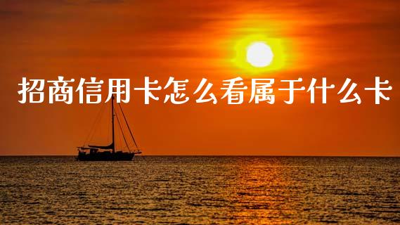 招商信用卡怎么看属于什么卡_https://cj002.lansai.wang_金融问答_第1张