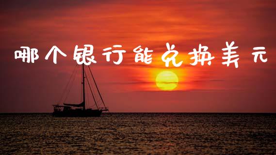 哪个银行能兑换美元_https://cj002.lansai.wang_财经问答_第1张