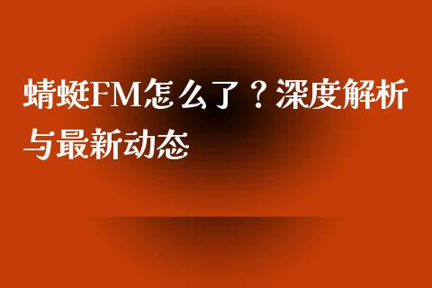 蜻蜓FM怎么了？深度解析与最新动态_https://cj002.lansai.wang_会计问答_第1张