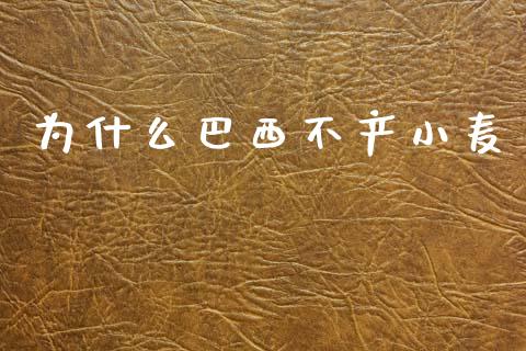 为什么巴西不产小麦_https://cj002.lansai.wang_财经百问_第1张