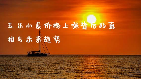 玉米小麦价格上涨背后的真相与未来趋势_https://cj002.lansai.wang_金融问答_第1张