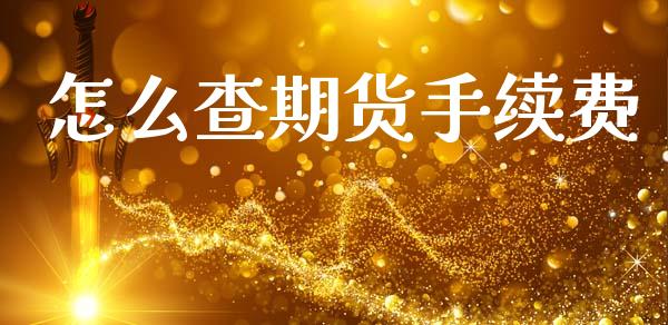 怎么查期货手续费_https://cj002.lansai.wang_理财问答_第1张