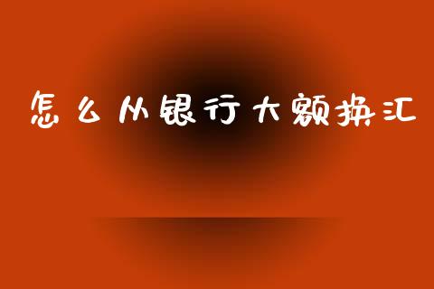 怎么从银行大额换汇_https://cj002.lansai.wang_财经问答_第1张