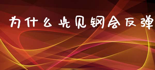 为什么光见钢会反弹_https://cj002.lansai.wang_股市问答_第1张