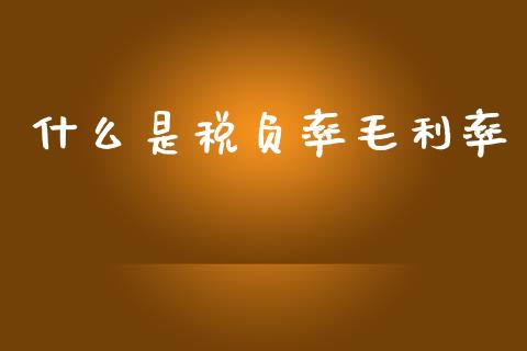 什么是税负率毛利率_https://cj002.lansai.wang_会计问答_第1张