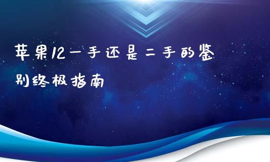 苹果12一手还是二手的鉴别终极指南_https://cj002.lansai.wang_财经百问_第1张
