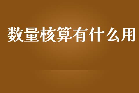 数量核算有什么用_https://cj002.lansai.wang_会计问答_第1张