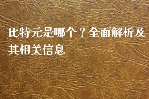 比特元是哪个？全面解析及其相关信息_https://cj002.lansai.wang_理财问答_第1张