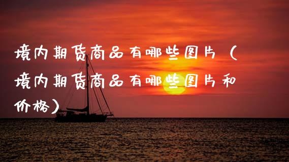 境内期货商品有哪些图片（境内期货商品有哪些图片和价格）_https://cj002.lansai.wang_会计问答_第1张