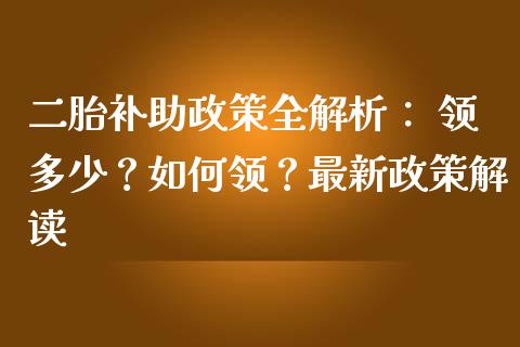 二胎补助政策全解析： 领多少？如何领？最新政策解读_https://cj002.lansai.wang_期货问答_第1张