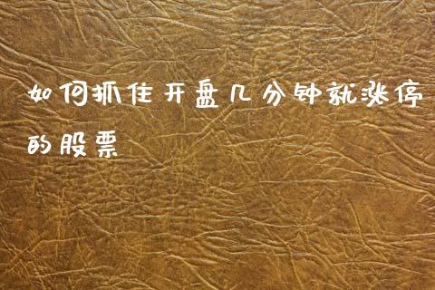 如何抓住开盘几分钟就涨停的股票_https://cj002.lansai.wang_股市问答_第1张