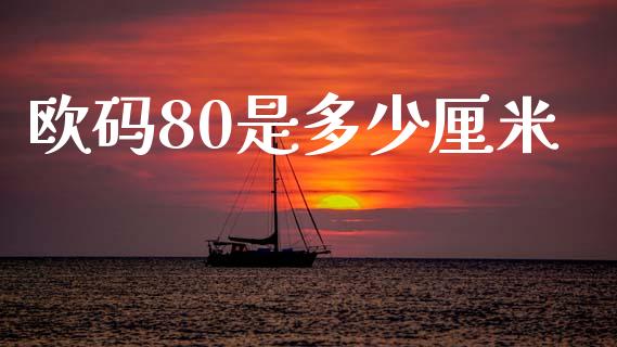 欧码80是多少厘米_https://cj002.lansai.wang_财经问答_第1张