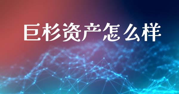巨杉资产怎么样_https://cj002.lansai.wang_会计问答_第1张
