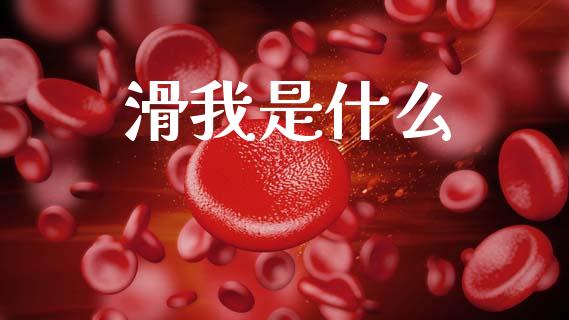 滑我是什么_https://cj002.lansai.wang_会计问答_第1张