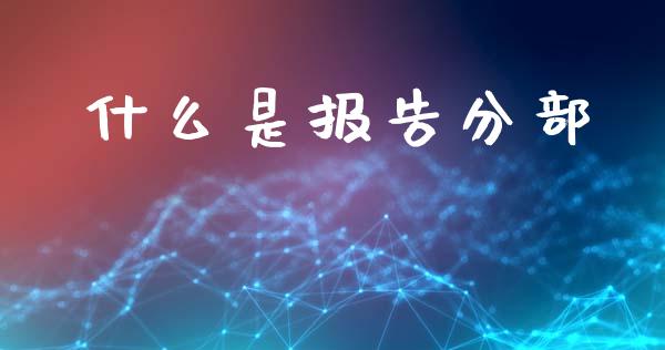 什么是报告分部_https://cj002.lansai.wang_会计问答_第1张