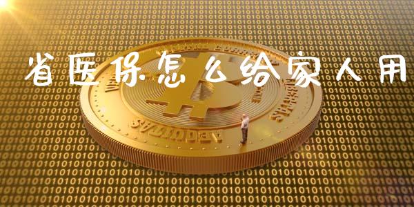 省医保怎么给家人用_https://cj002.lansai.wang_保险问答_第1张