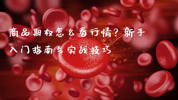 商品期权怎么看行情？新手入门指南与实战技巧_https://cj002.lansai.wang_理财问答_第1张