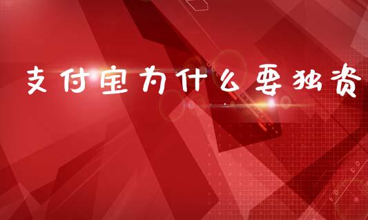 支付宝为什么要独资_https://cj002.lansai.wang_金融问答_第1张