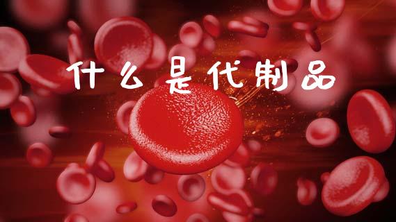 什么是代制品_https://cj002.lansai.wang_会计问答_第1张