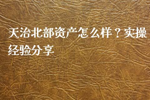 天治北部资产怎么样？实操经验分享_https://cj002.lansai.wang_会计问答_第1张