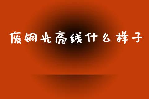 废铜光亮线什么样子_财经问答_第1张_财经百问网 废铜光亮线什么样子_https://cj002.lansai.wang_财经问答_第1张