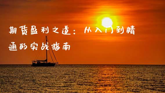 期货盈利之道：从入门到精通的实战指南_https://cj002.lansai.wang_会计问答_第1张