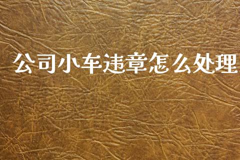 公司小车违章怎么处理_https://cj002.lansai.wang_保险问答_第1张
