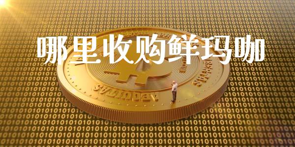 哪里收购鲜玛咖_https://cj002.lansai.wang_期货问答_第1张