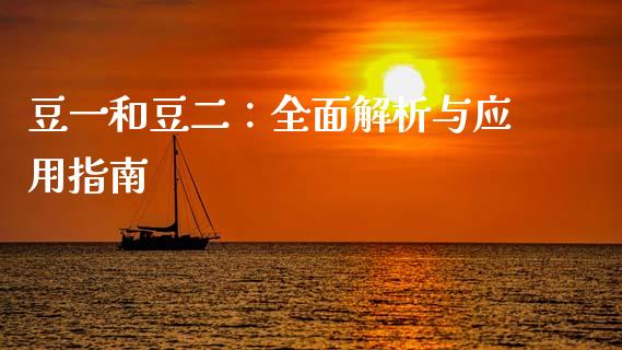豆一和豆二：全面解析与应用指南_https://cj002.lansai.wang_保险问答_第1张