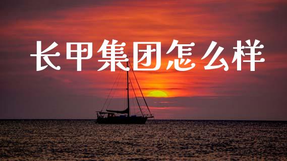 长甲集团怎么样_https://cj002.lansai.wang_金融问答_第1张