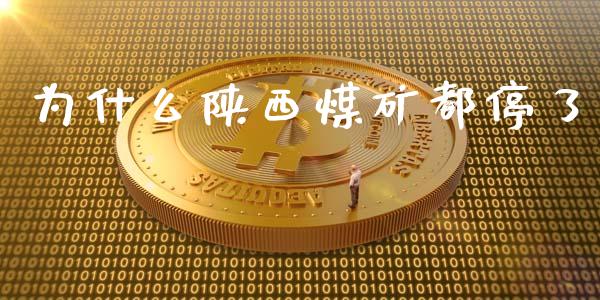 为什么陕西煤矿都停了_https://cj002.lansai.wang_股市问答_第1张