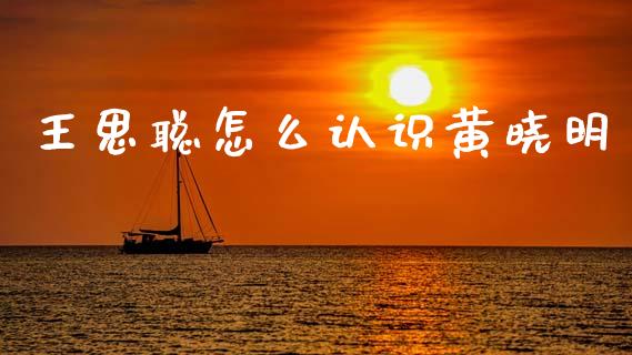 王思聪怎么认识黄晓明_https://cj002.lansai.wang_财经问答_第1张