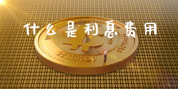 什么是利息费用_https://cj002.lansai.wang_会计问答_第1张