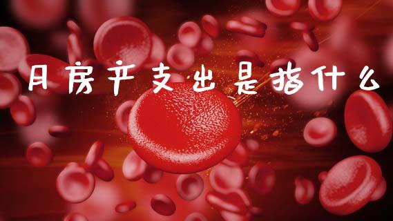 月房产支出是指什么_https://cj002.lansai.wang_会计问答_第1张