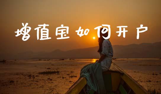 增值宝如何开户_https://cj002.lansai.wang_理财问答_第1张
