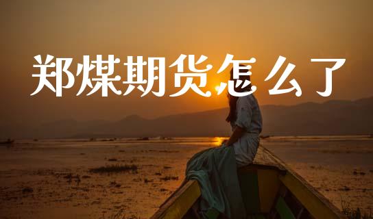 郑煤期货怎么了_财经百问_第1张_财经百问网 郑煤期货怎么了_https://cj002.lansai.wang_财经百问_第1张