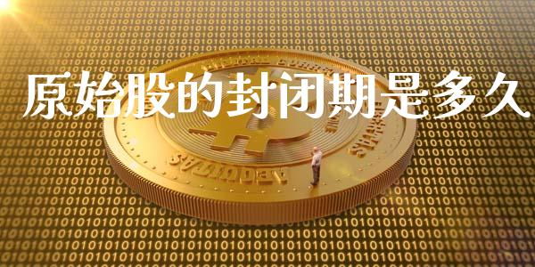 原始股的封闭期是多久_https://cj002.lansai.wang_股市问答_第1张